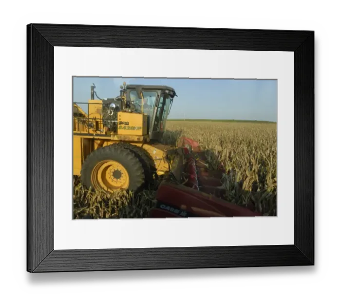 Framed Print : USA, North America, Missouri Framed Print : USA, North America, Missouri