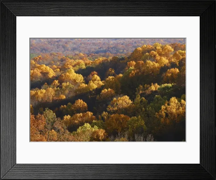 Framed Print : USA, Indiana, Brown County in autumn Framed Print : USA, Indiana, Brown County in autumn
