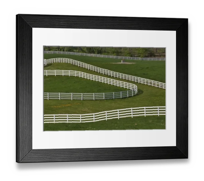 Framed Print : White fence winding across Calumet horse farm, Lexington, Kentucky Framed Print : White fence winding across Calumet horse farm, Lexington, Kentucky