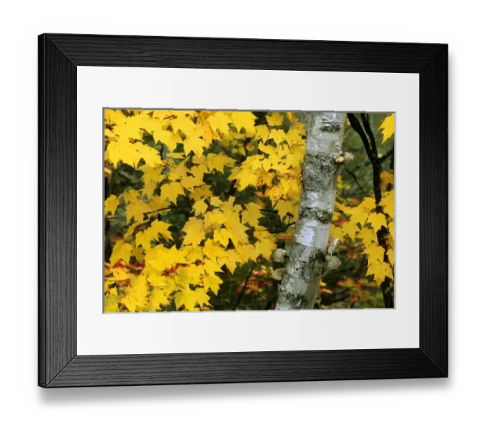 Framed Print : USA, North America, Michigan