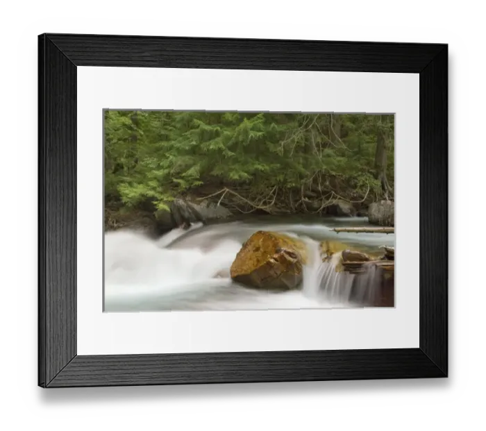 Framed Print : Avalanche Creek in Glacier National Park in Montana