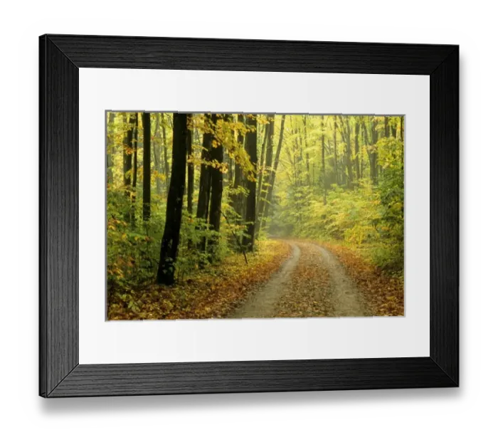 Framed Print : USA, North America, Michigan Framed Print : USA, North America, Michigan