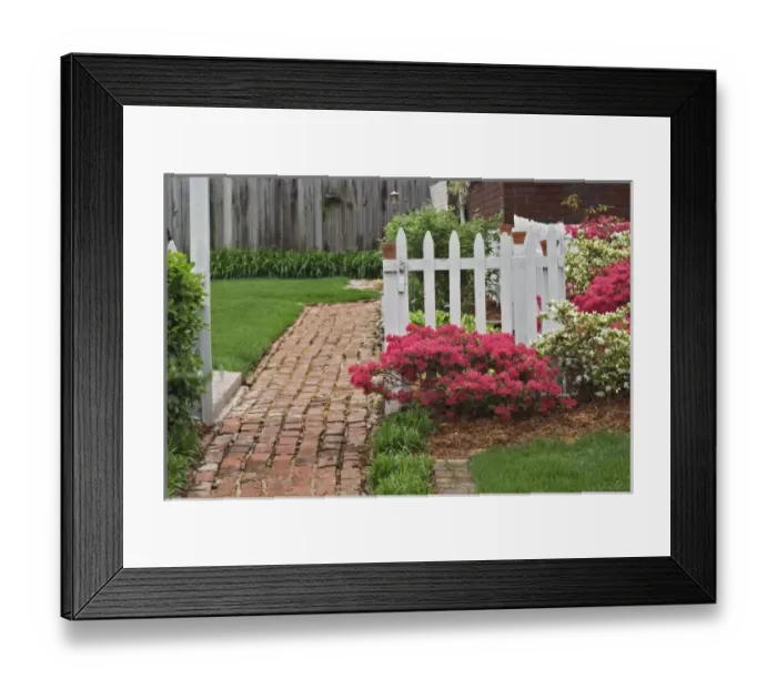 Framed Print : Brick sidewalk, picket fence, and azaleas, Audubon Park neighborhood, Louisville