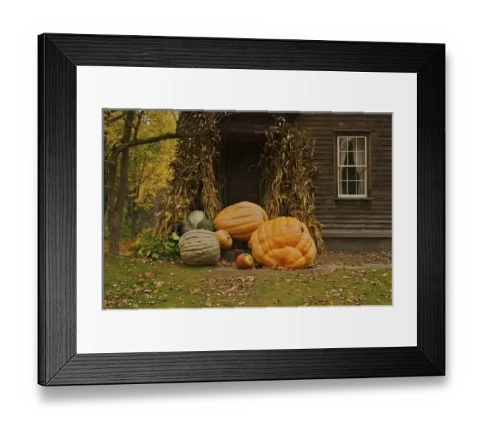 Framed Print : North America, USA, Massachusetts, Deerfield. Giant vegetables in front of an old house Framed Print : North America, USA, Massachusetts, Deerfield. Giant vegetables in front of an old house