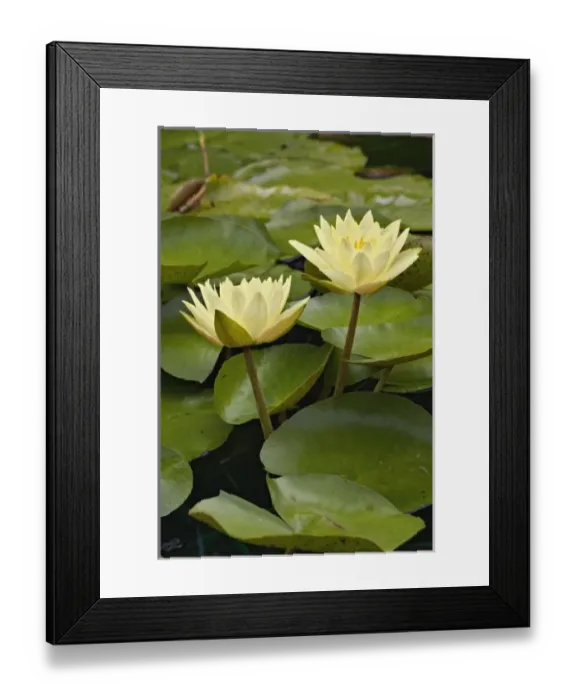 Framed Print : USA, North America, Indiana
