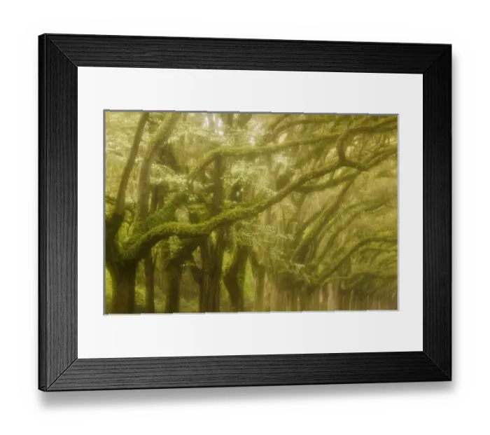 Framed Print : USA, North America, Georgia Framed Print : USA, North America, Georgia