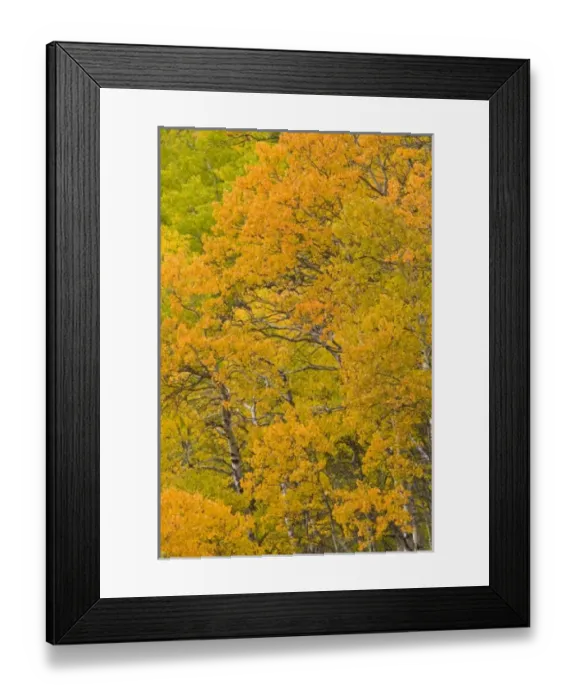 Framed Print : USA, North America, Montana Framed Print : USA, North America, Montana