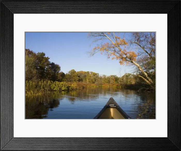 Framed Print : Paddling in the Ipswich River in Ipswich Massachusetts USA Framed Print : Paddling in the Ipswich River in Ipswich Massachusetts USA
