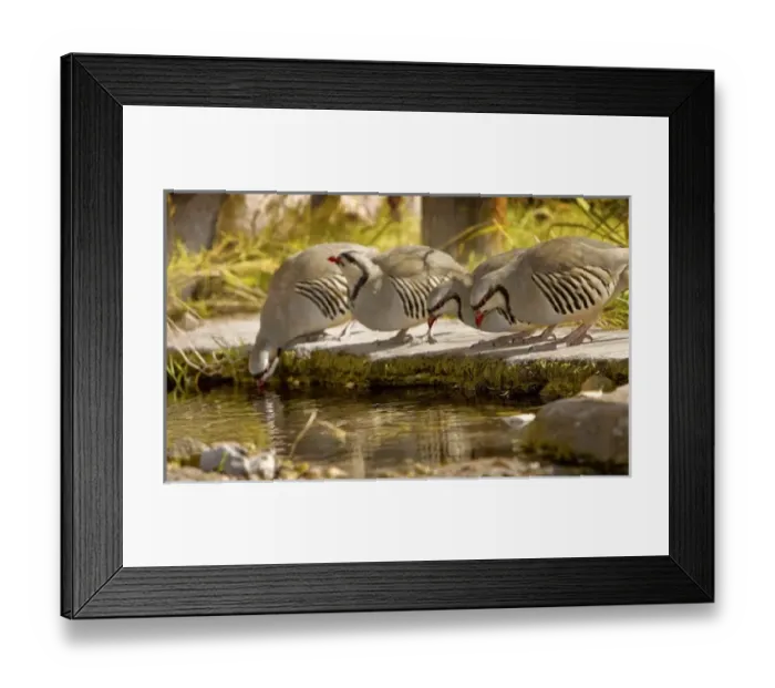 Framed Print : USA, North America, Nevada Framed Print : USA, North America, Nevada