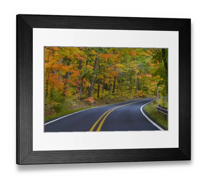 Framed Print : Colorful maple trees in autumn line scenic Highway 41 as it leads into Copper Harbor Framed Print : Colorful maple trees in autumn line scenic Highway 41 as it leads into Copper Harbor