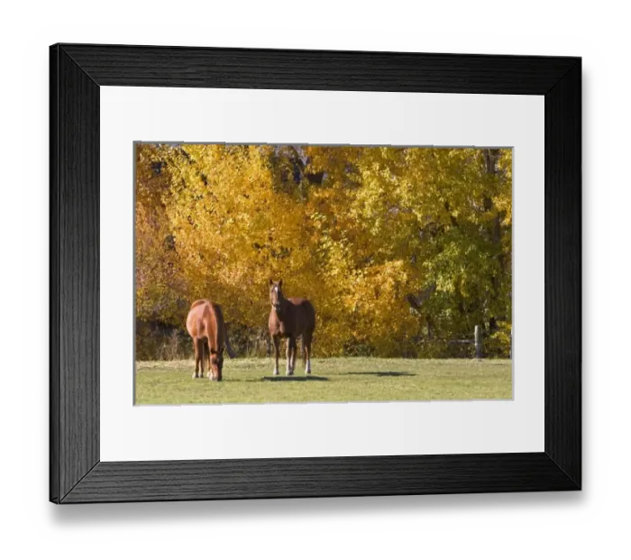 Framed Print : USA, North America, Idaho Framed Print : USA, North America, Idaho