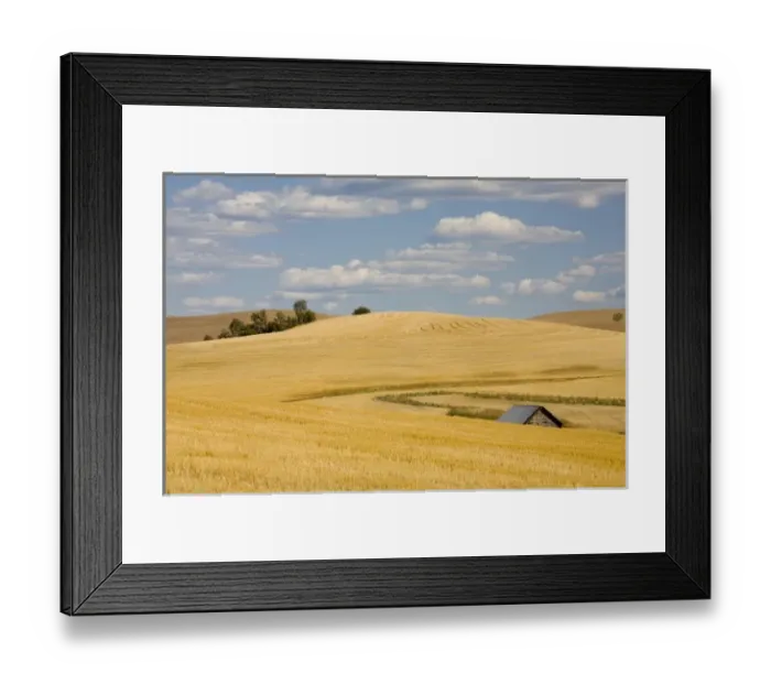 Framed Print : USA, North America, Idaho