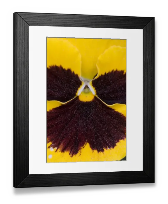 Framed Print : USA, North America, Georgia Framed Print : USA, North America, Georgia
