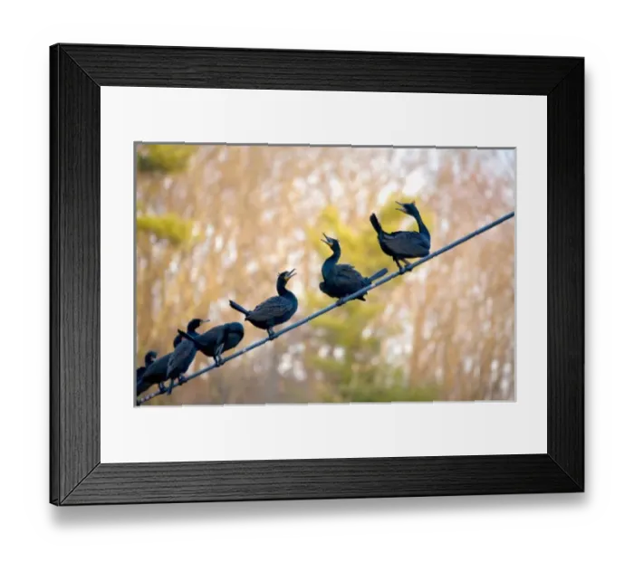 Framed Print : USA, North America, Maine Framed Print : USA, North America, Maine