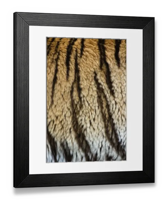 Framed Print : USA, North America, Kentucky