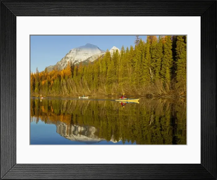Framed Print : Sea kayaking in Bowman Lake in autumn in Glacier National Park, Montana, USA. (MR) Framed Print : Sea kayaking in Bowman Lake in autumn in Glacier National Park, Montana, USA. (MR)
