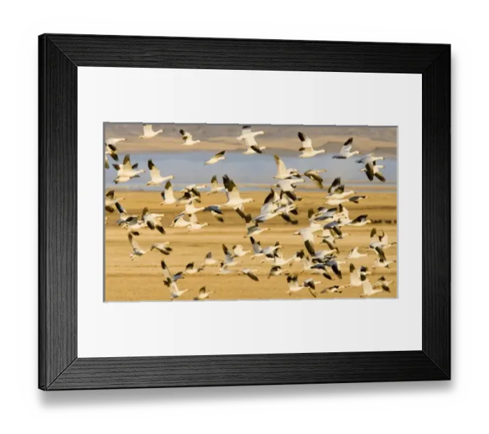 Framed Print : USA, North America, Montana Framed Print : USA, North America, Montana