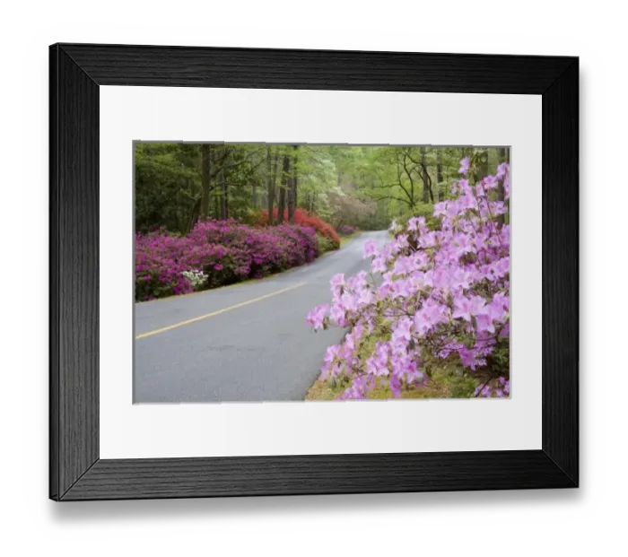 Framed Print : USA, North America, Georgia Framed Print : USA, North America, Georgia