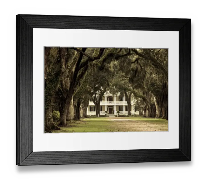 Framed Print : USA, North America, Louisiana Framed Print : USA, North America, Louisiana