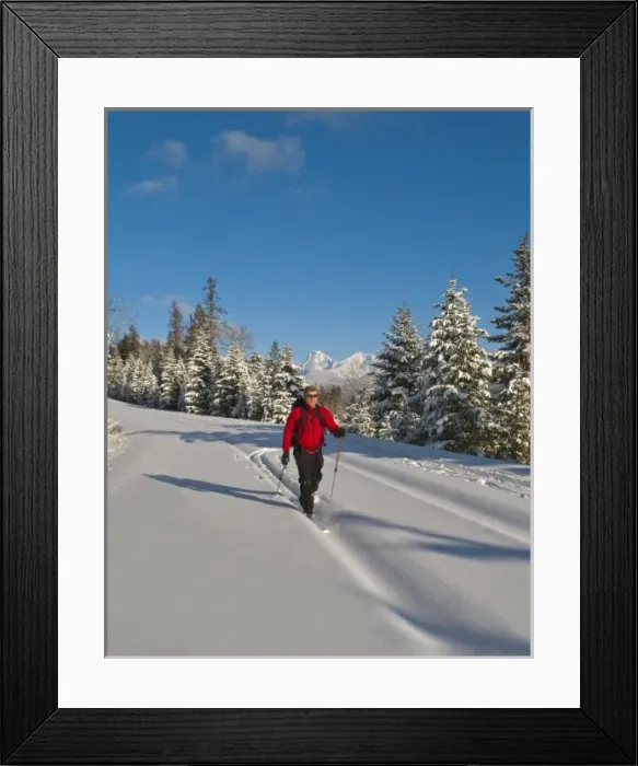 Framed Print : Cross country skiing to Fish Creek in Glacier National Park in Montana (MR) Framed Print : Cross country skiing to Fish Creek in Glacier National Park in Montana (MR)