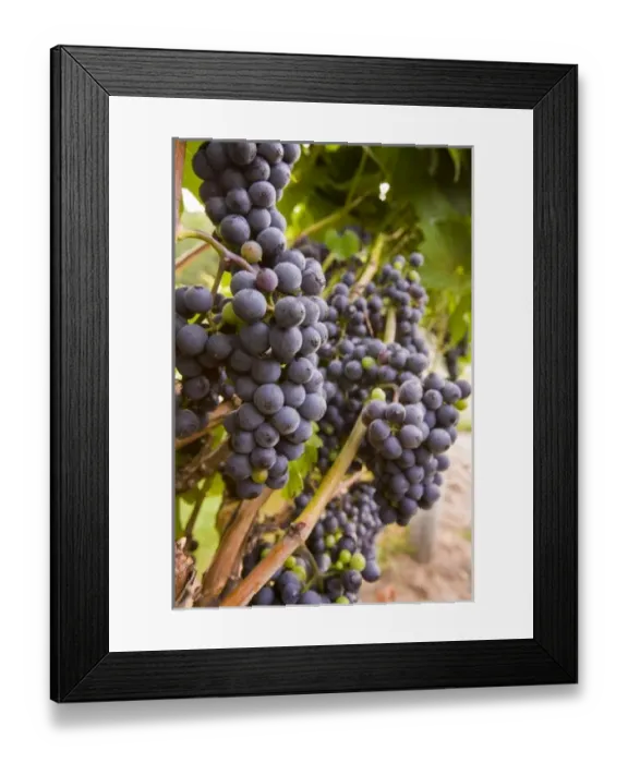 Framed Print : USA, North America, New Hampshire