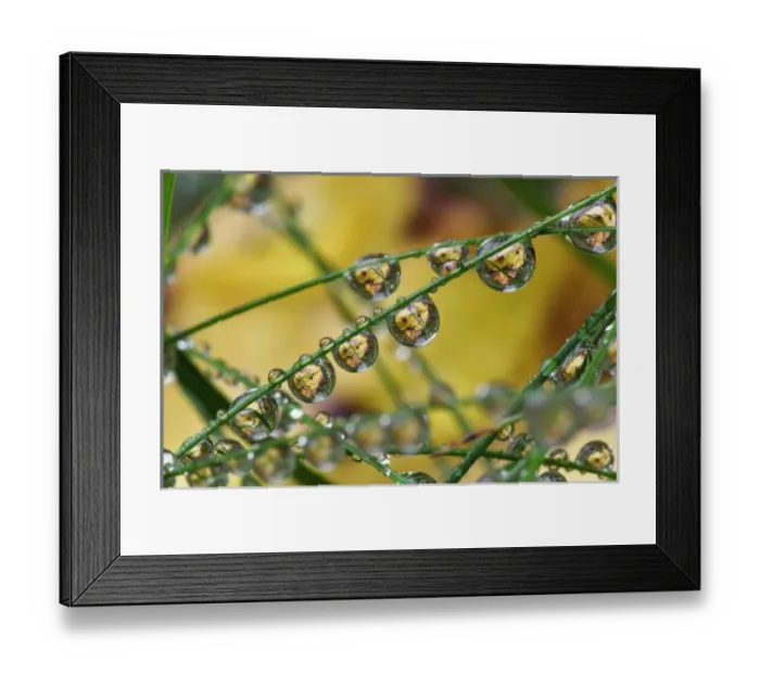 Framed Print : USA, North America, Maine Framed Print : USA, North America, Maine