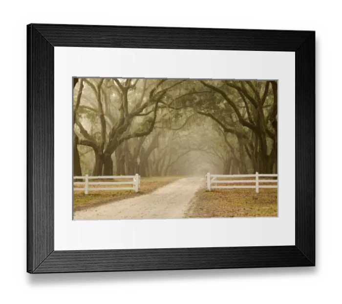 Framed Print : USA, North America, Georgia Framed Print : USA, North America, Georgia
