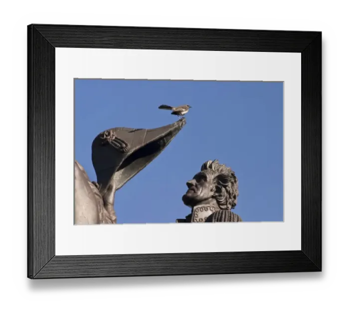 Framed Print : USA, Louisiana, New Orleans, Jackson Square. A close view of the statue of General Framed Print : USA, Louisiana, New Orleans, Jackson Square. A close view of the statue of General