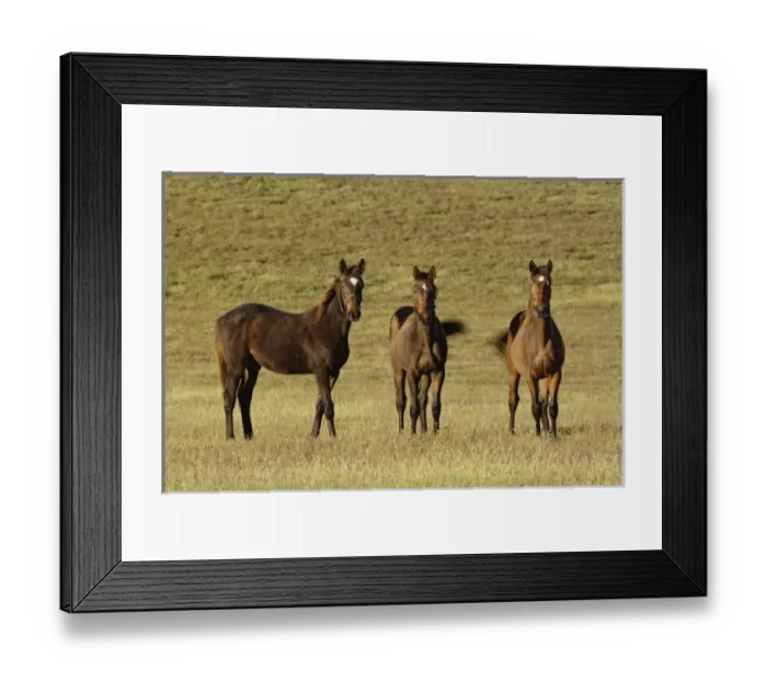 Framed Print : USA, North America, Kentucky