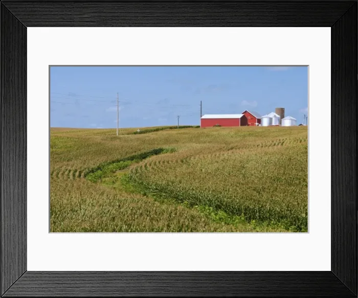 Framed Print : Perfect calendar image of farm near Dyersville Iowa with red barn and corn rows