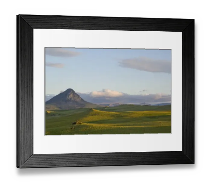 Framed Print : Arrowleaf balsamroot covers the foothills near Haystack Butte at the southern end