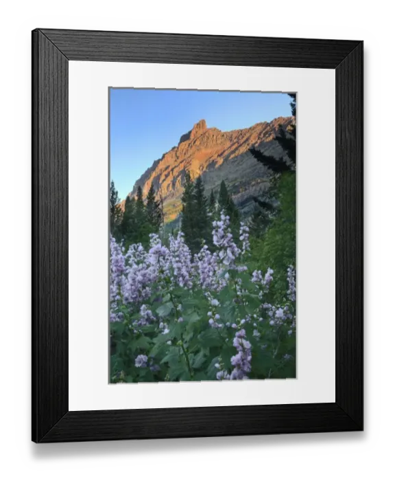 Framed Print : USA, North America, Montana Framed Print : USA, North America, Montana
