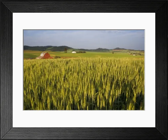 Framed Print : USA, North America, Idaho