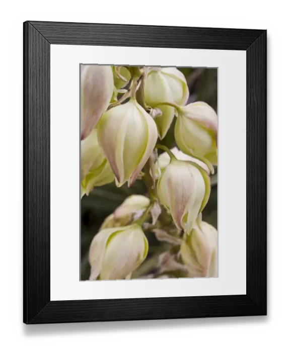 Framed Print : USA, North America, Nebraska Framed Print : USA, North America, Nebraska