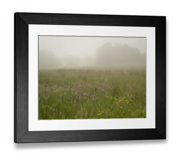 Framed Print : USA, North America, Maine Framed Print : USA, North America, Maine
