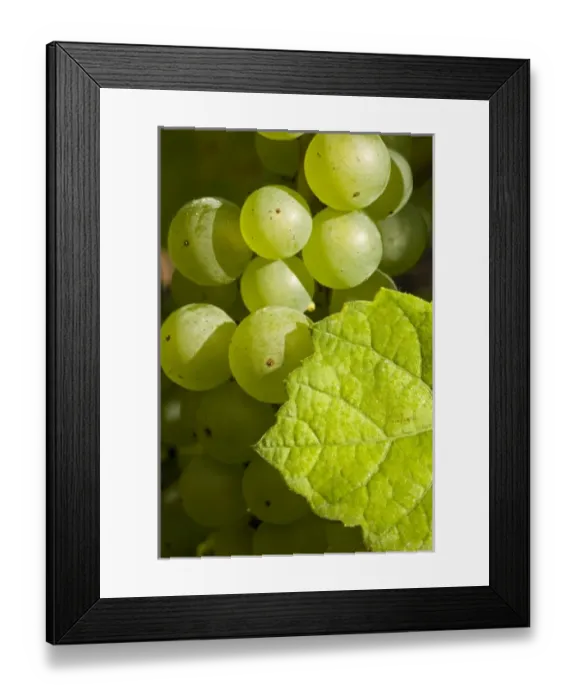 Framed Print : USA, North America, New Hampshire Framed Print : USA, North America, New Hampshire
