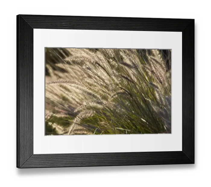 Framed Print : USA, North America, Hawaii Framed Print : USA, North America, Hawaii