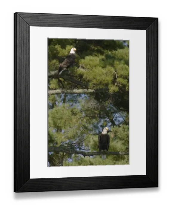 Framed Print : USA, North America, Minnesota