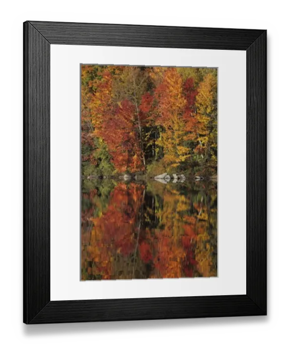 Framed Print : Fall color reflected in Lake Armington, White Mountain National Forest, United States