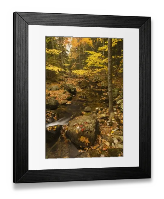 Framed Print : USA, North America, Maine Framed Print : USA, North America, Maine