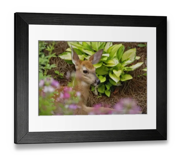Framed Print : USA, North America, Kentucky Framed Print : USA, North America, Kentucky