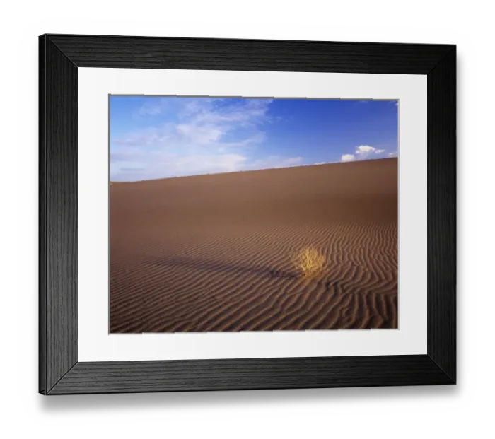 Framed Print : ID, Bruneau Dunes State Park, Sand dunes with wind formed ripples Framed Print : ID, Bruneau Dunes State Park, Sand dunes with wind formed ripples