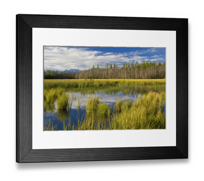 Framed Print : USA, North America, Montana Framed Print : USA, North America, Montana