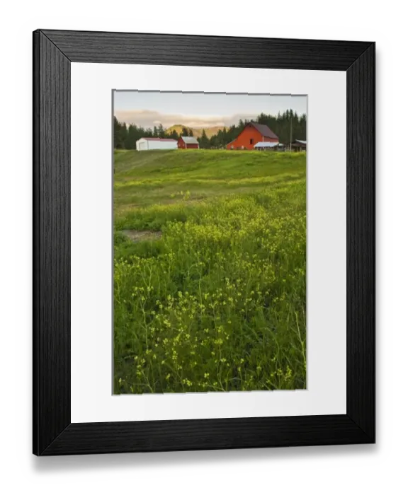 Framed Print : USA, North America, Montana