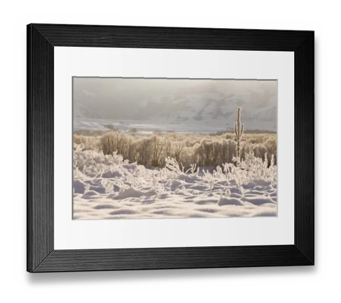 Framed Print : Gallatin County, MT. Backlit snow detail Framed Print : Gallatin County, MT. Backlit snow detail