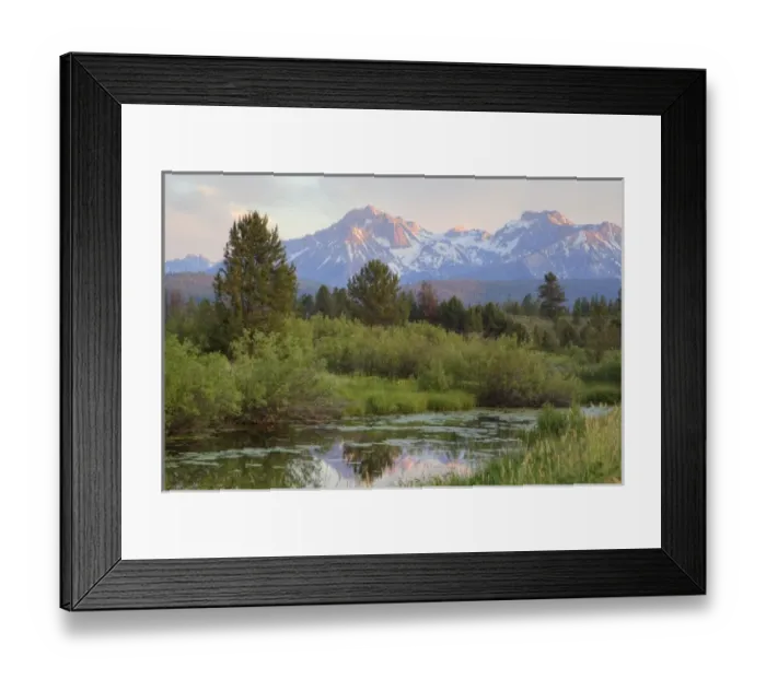 Framed Print : Sawtooth mountains reflect in small wetlands near Stanley Idaho