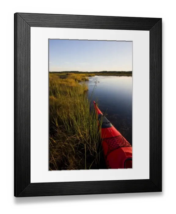 Framed Print : The bow of a kayak in a marshy area of Northeast Creek on Mount Desert Island near Bar Harbor Framed Print : The bow of a kayak in a marshy area of Northeast Creek on Mount Desert Island near Bar Harbor