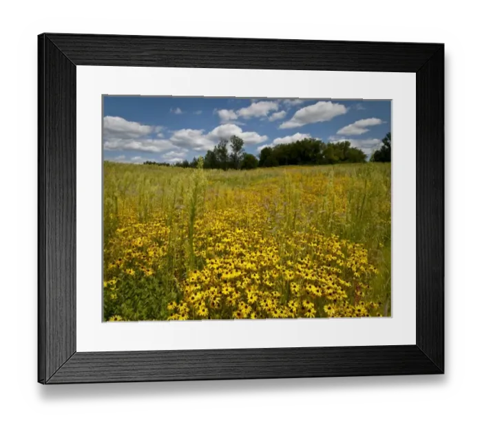 Framed Print : USA, North America, Minnesota