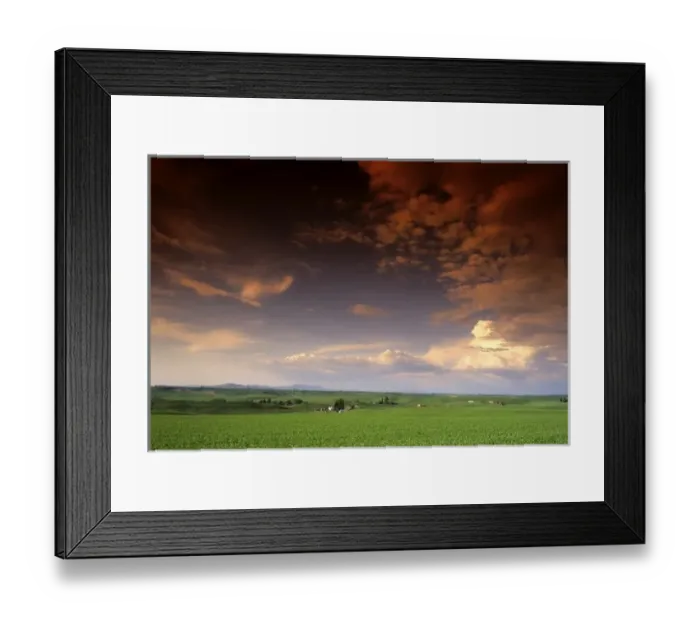 Framed Print : Pea fields and clouds in North Idaho Framed Print : Pea fields and clouds in North Idaho