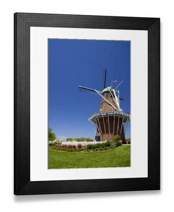Framed Print : Windmill Island park with tulips in bloom at Holland, Michigan Framed Print : Windmill Island park with tulips in bloom at Holland, Michigan